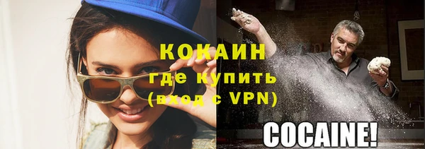 спиды Вяземский