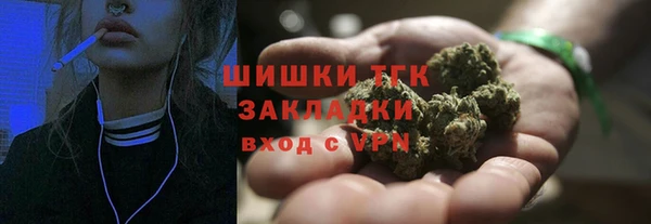 спиды Вяземский