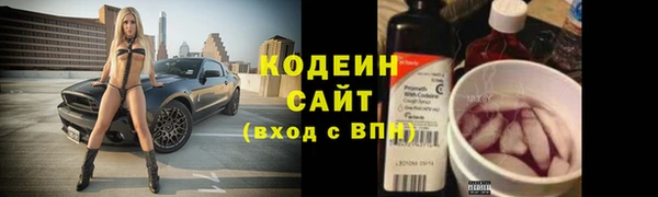 мдпв Горнозаводск