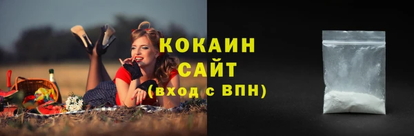 мдпв Горнозаводск
