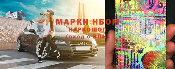спиды Вяземский