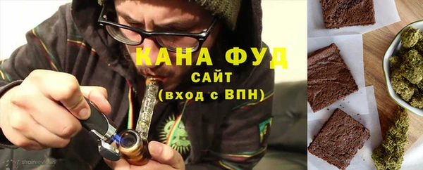 мдпв Горнозаводск
